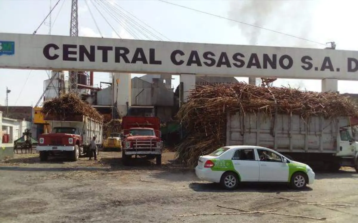 Productores cañeros esperan que las negociaciones federales den frutoROSAURA HERNÁNDEZ